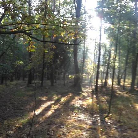 Klanhome Szálloda 3*