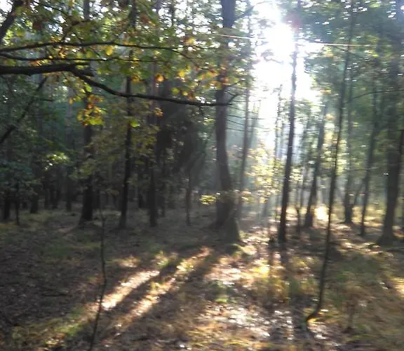 Klanhome ホテル 3*